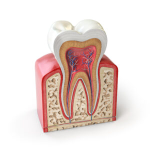 riverside root canal